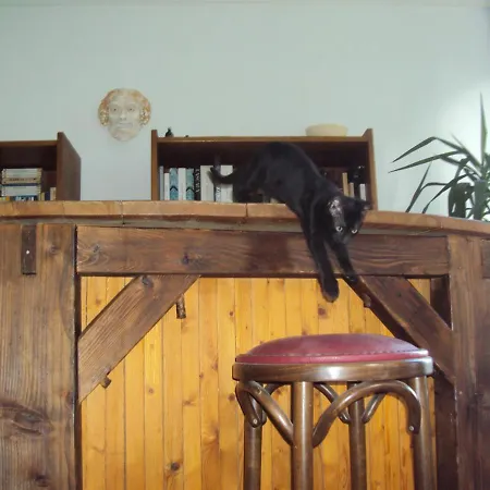 El Gato Negro