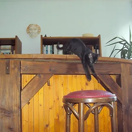 El Gato Negro 3*