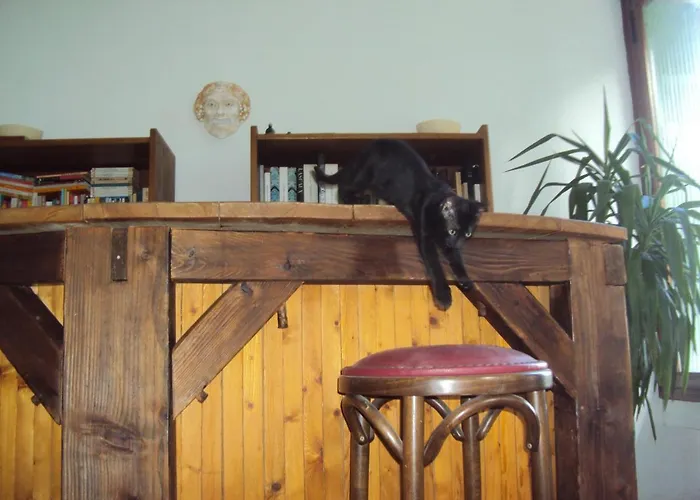 El Gato Negro